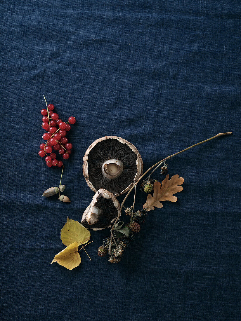 Fall food ingredients on dark blue background. Flat-lay of autumn vegetables, berries and mushrooms from local market. Vegan ingredients
