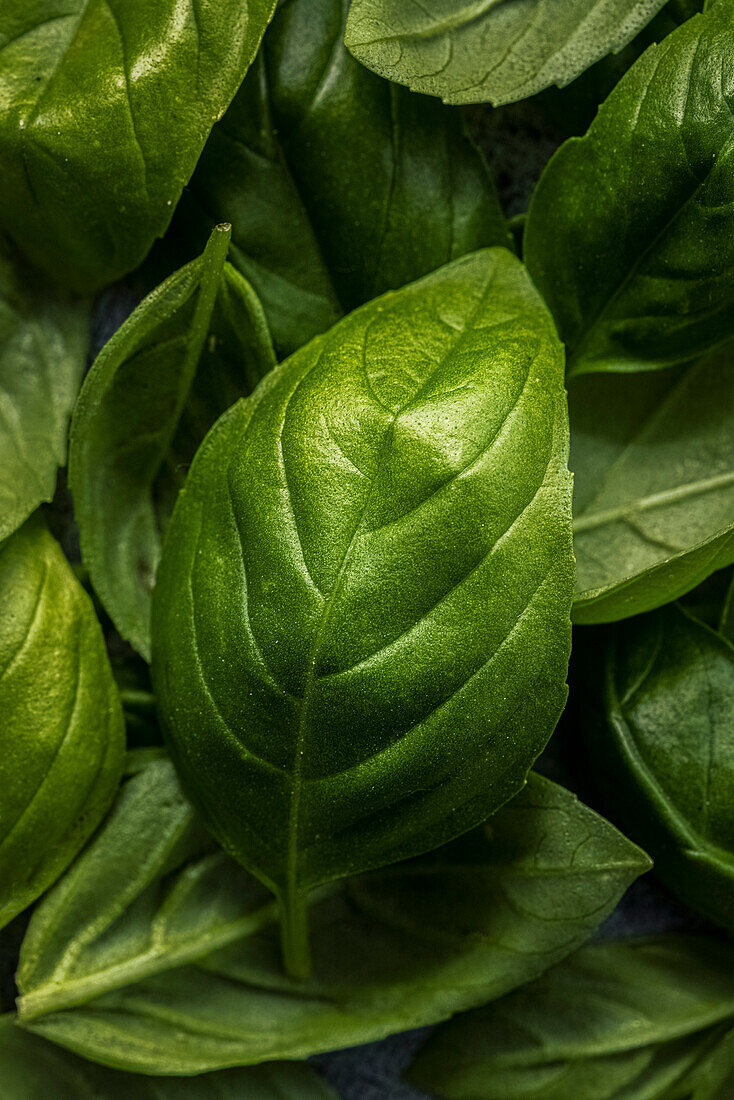A close-up of a basil leaf