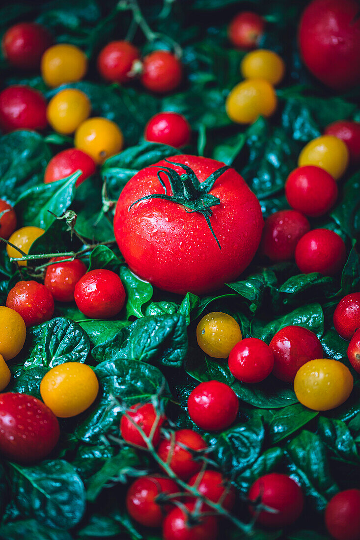 Tomatoes on a bed of spinach