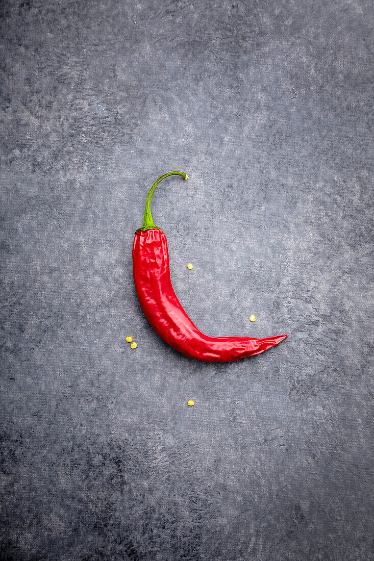 Eine Chilischote auf grauem Hintergrund