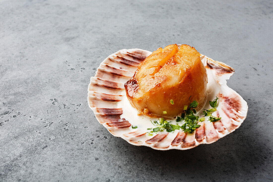 Fried scallops with butter cream sauce, served in a cockle shell on a concrete background