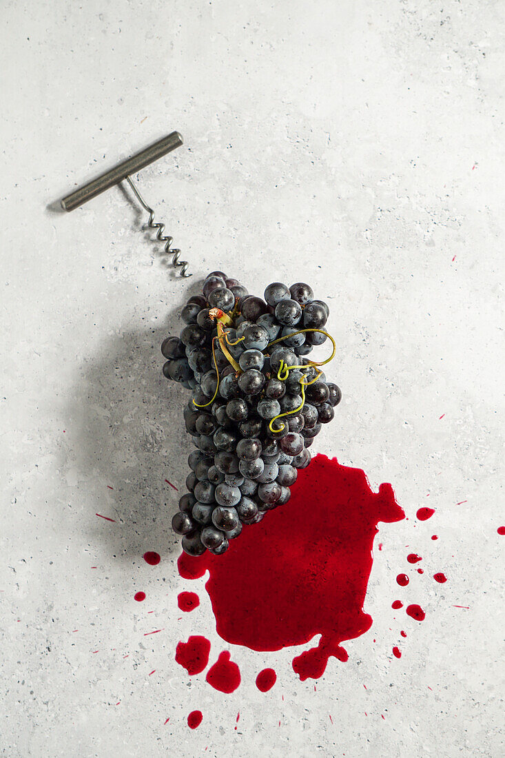 Vine with ripe grapes, and, wine making, on a concrete table, corkscrew and Mediterranean, vineyard concept