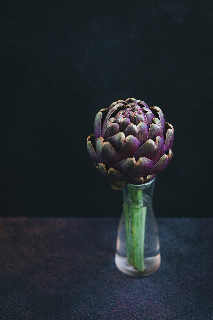 Einzelne Artischocke in einer Vase, auf dunklem Hintergrund