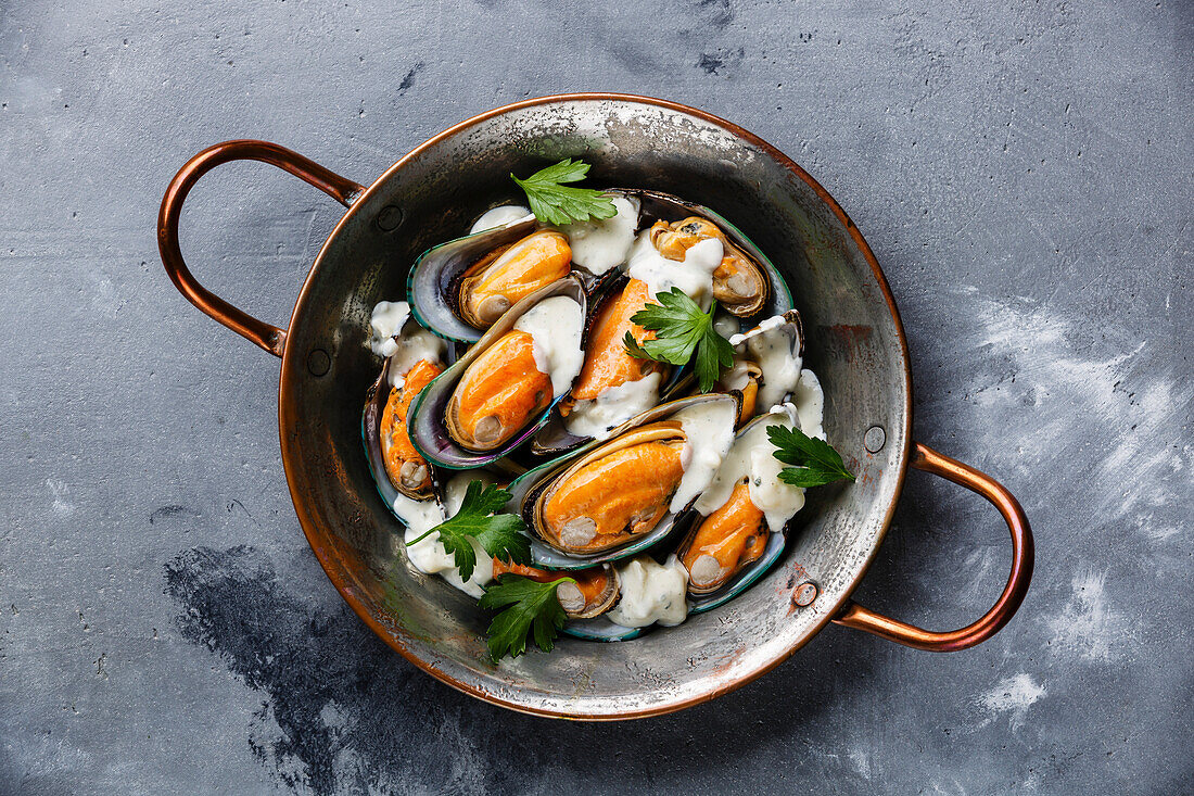 Shellfish Mussels Clams in copper cooking pan with blue cheese sauce on concrete background