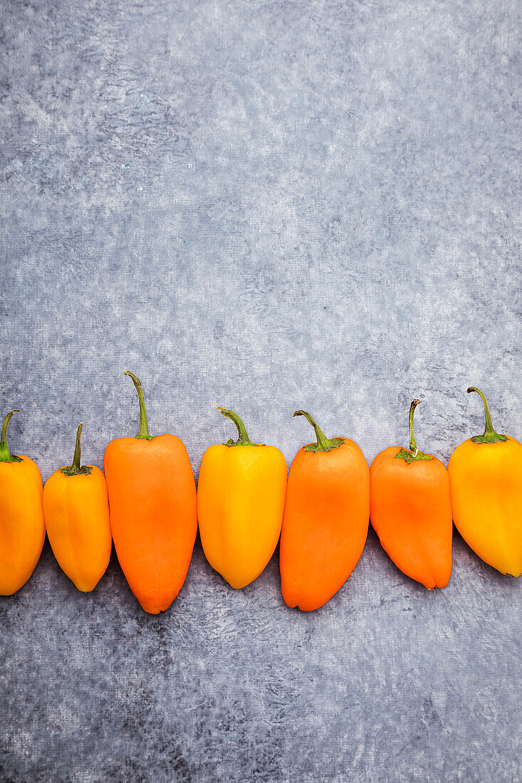 Sweet little orange and yellow peppers on a grey background