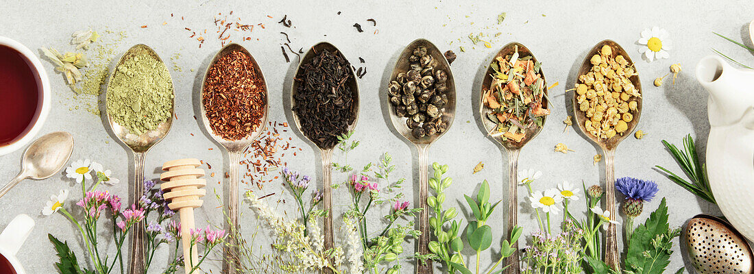 Different types of tea in old spoons and medicinal herbs Flat lay, top view on concrete background. Matcha, rooibos, black tea, green tea, herbal blend and camomile tea. Herbal medicine, alternative treatment, natural remedies