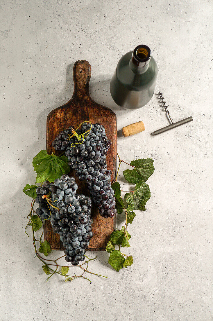 Reife Trauben, Weinherstellung, auf einem Tisch mit Keramikfliesen, mediterran, Konzept des Herbstes, Weinberge
