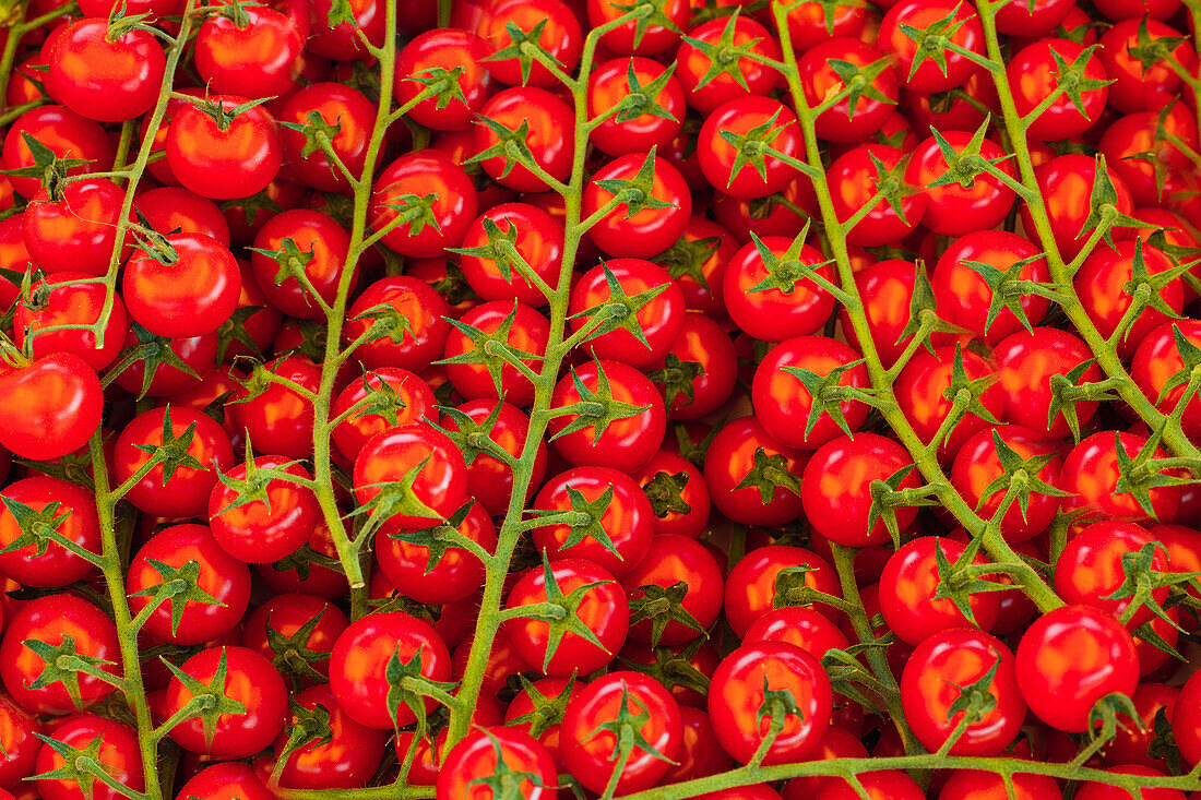 Top view of ripe red tomatoes at a vegetable stand in a section of a local market