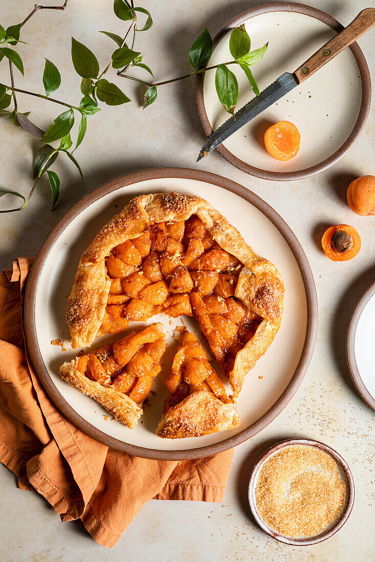 A French apricot galette dessert