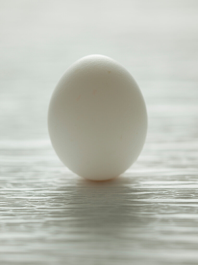 Ei auf weißem Hintergrund