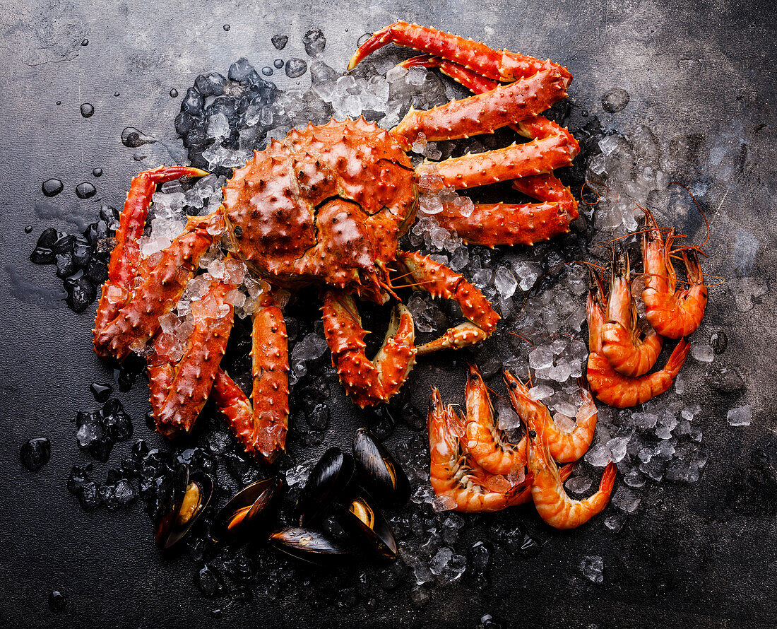 Cooked seafood on ice - king crab, prawn, mussels, clams on a dark background
