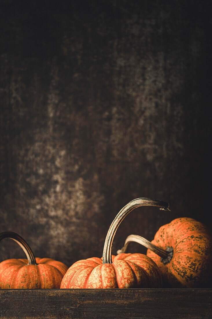 Reife orangefarbene Kürbisse und dunkler Hintergrund