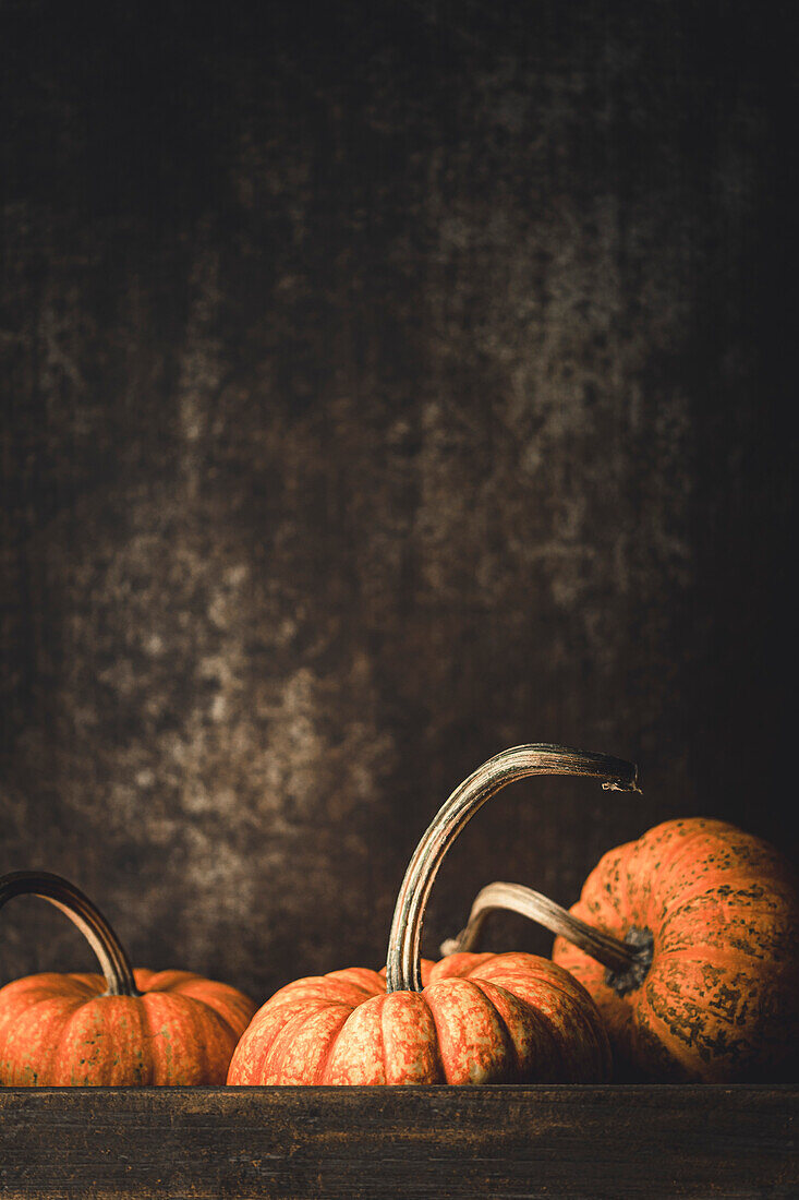 Ripe orange pumpkins and dark background