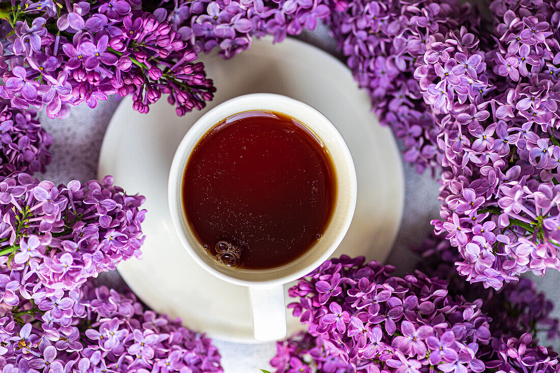 Draufsicht auf eine weiße Tasse Tee und schöne fliederfarbene Blumen auf grauem Betonhintergrund