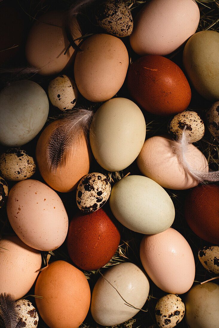 Multicoloured Easter eggs in a display