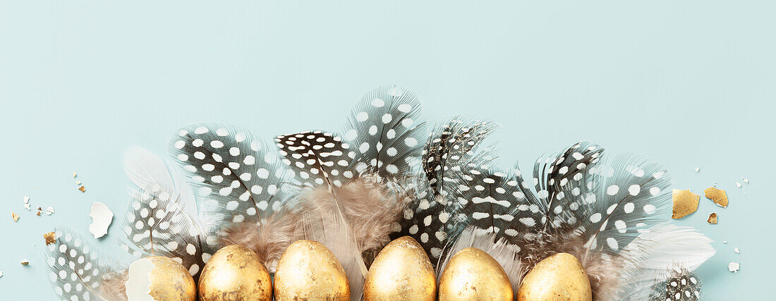 Raw golden quail eggs and quail feathers on a blue background. Beautiful modern minimalist Easter composition. Copy space, top view, flat lay