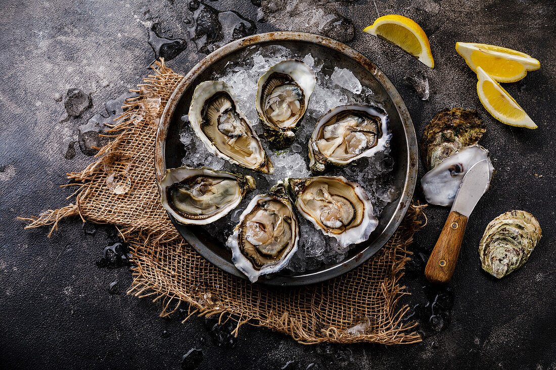 Open, freshly shucked oysters with lemon on ice against a dark background