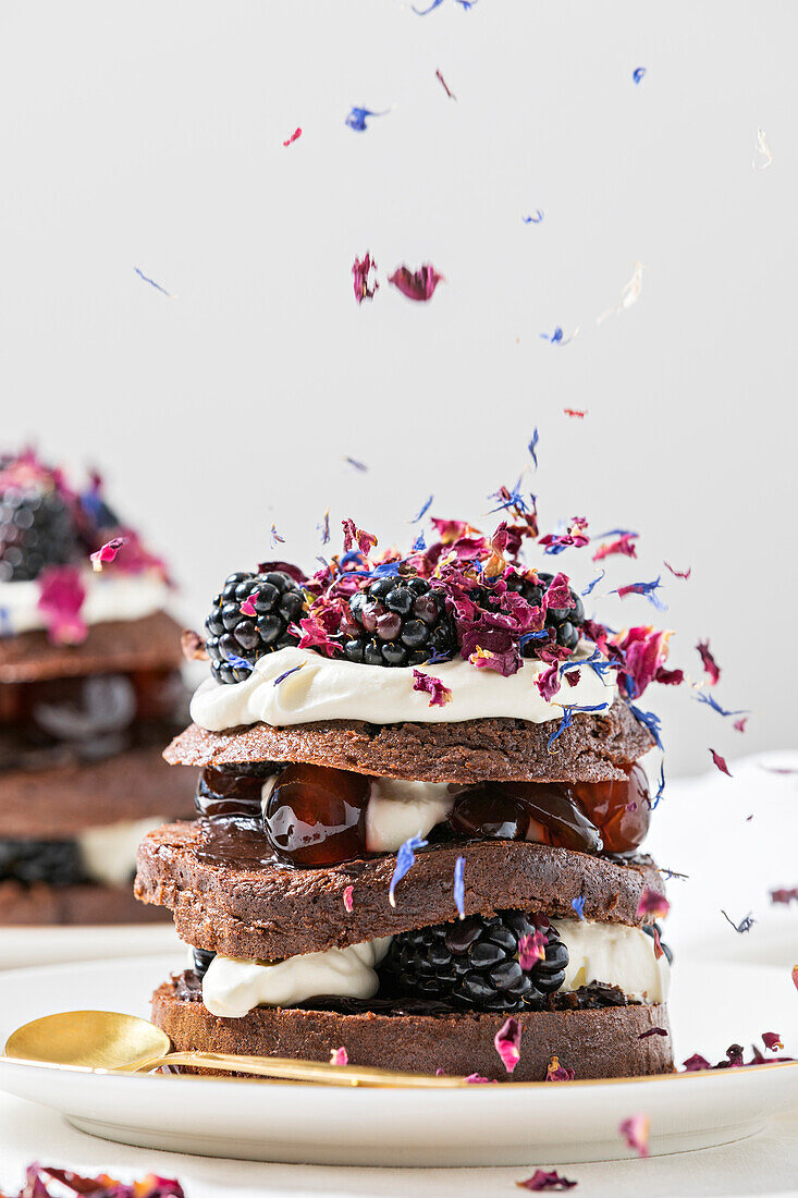 Black Forest Cake with layers of chocolate cake, cherries and whipped cream