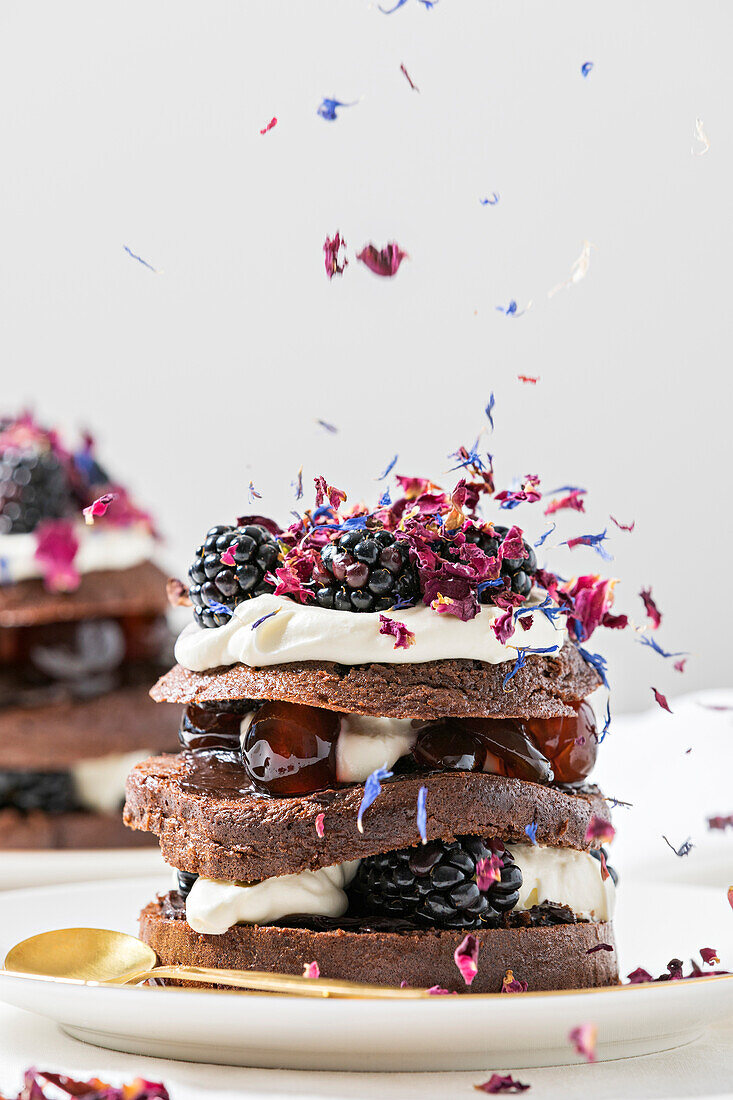 Schwarzwälder Kirschtorte mit Schichten von Schokoladenkuchen, Kirschen und Schlagsahne