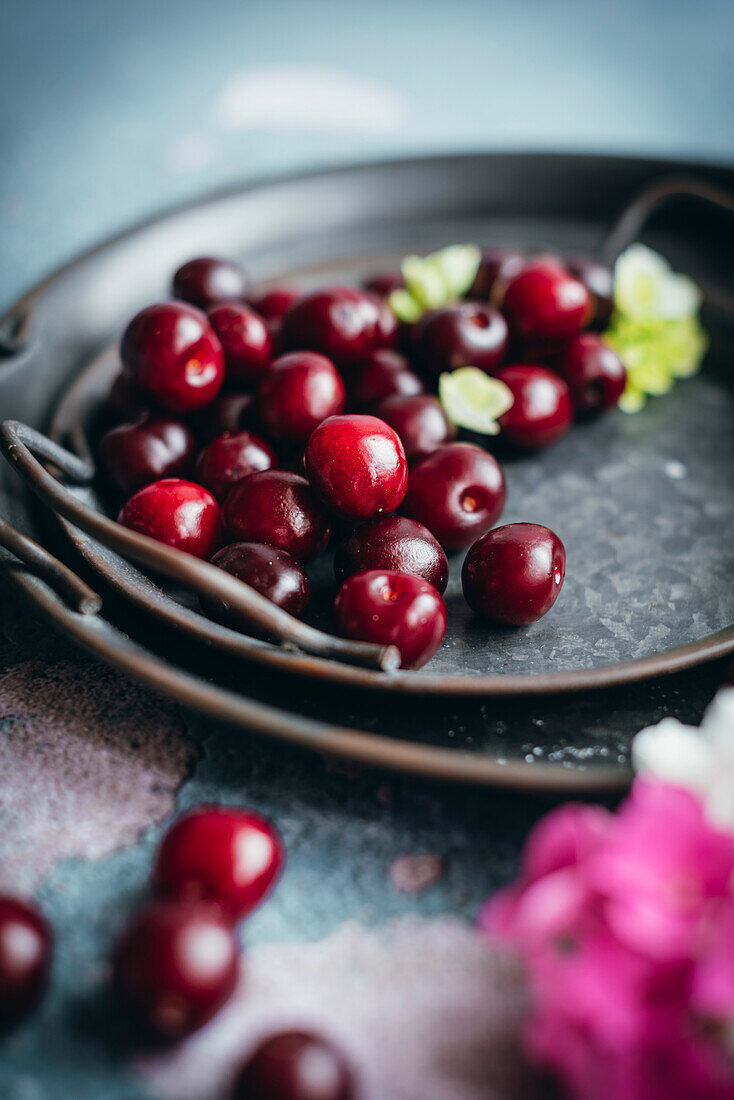 Ripe cherries on a silver plate on a blue background