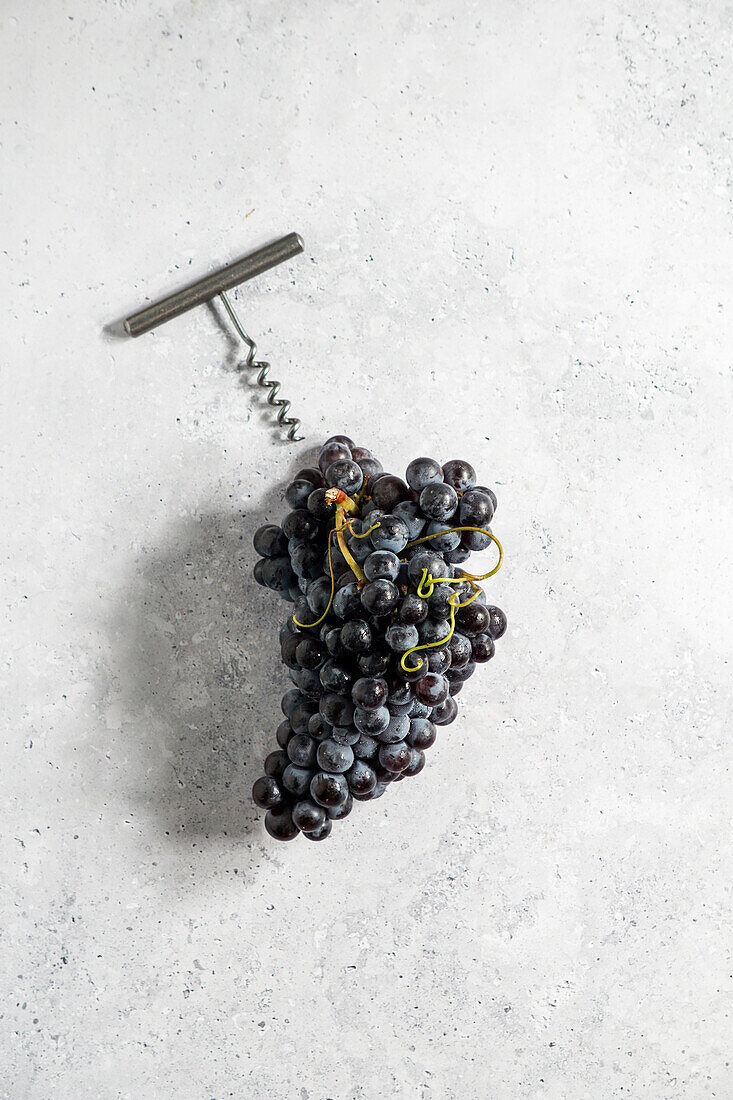 Weinstock mit reifen Trauben, und, Weinherstellung, auf einem Betontisch, Korkenzieher und mediterranes, Weinbergskonzept