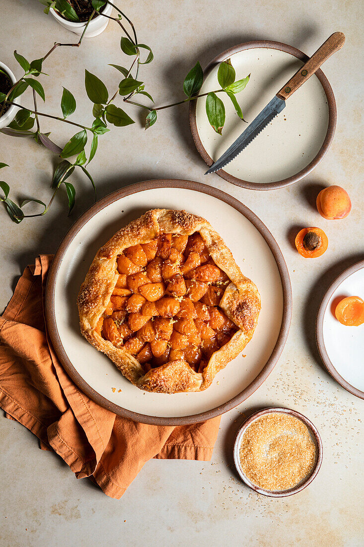 A French apricot galette dessert