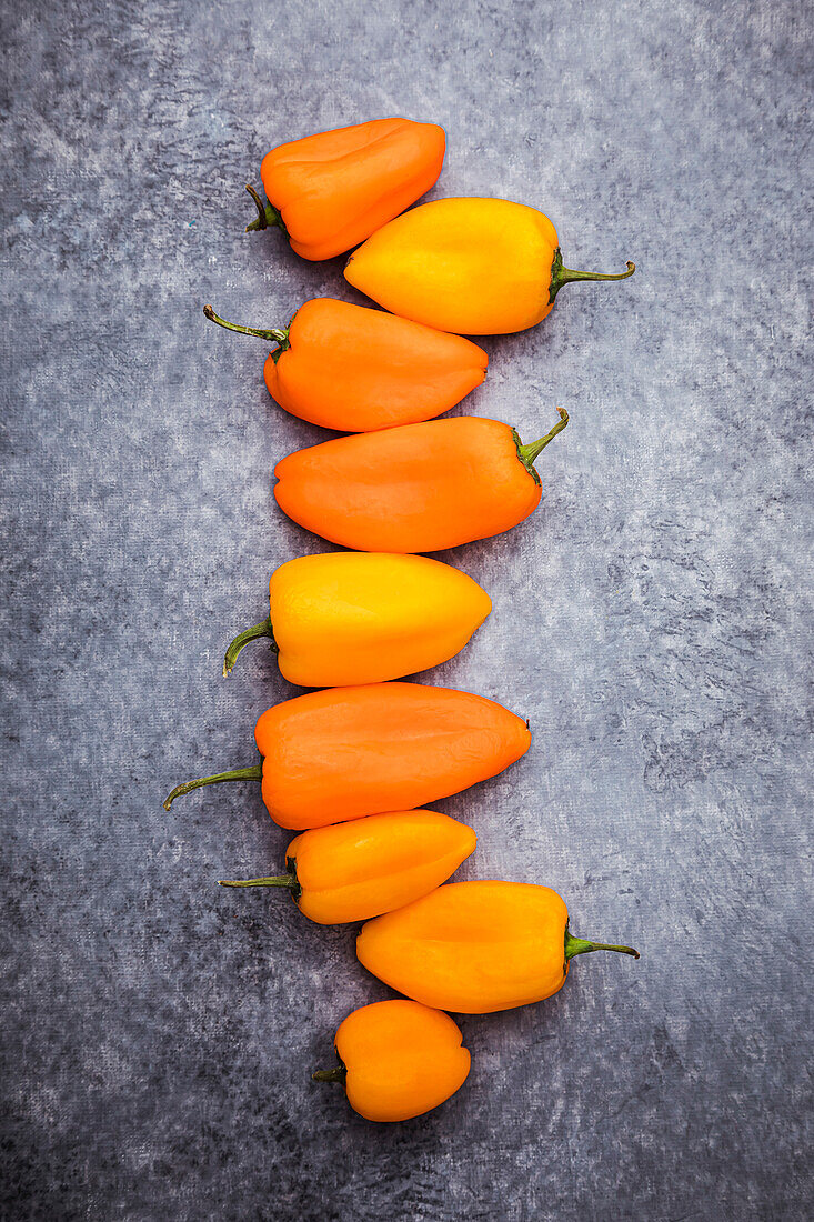 Sweet small orange and yellow peppers over gray background
