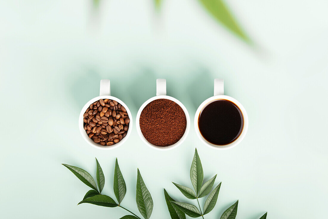 Ästhetische Darstellung von Kaffee in Bohnen, gemahlen und in flüssiger Form mit Grünzeug