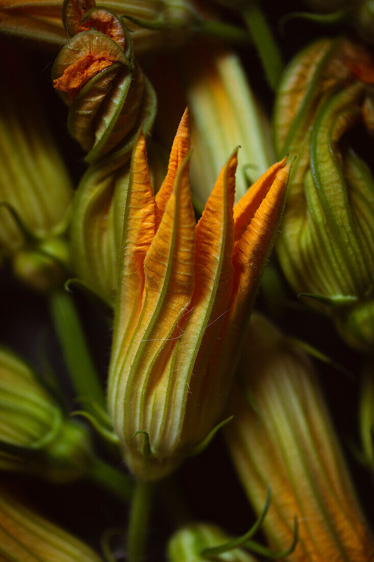 A bunch of courgette flowers at a market