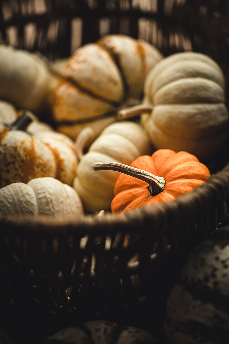 Pumpkins in a rustic kitchen