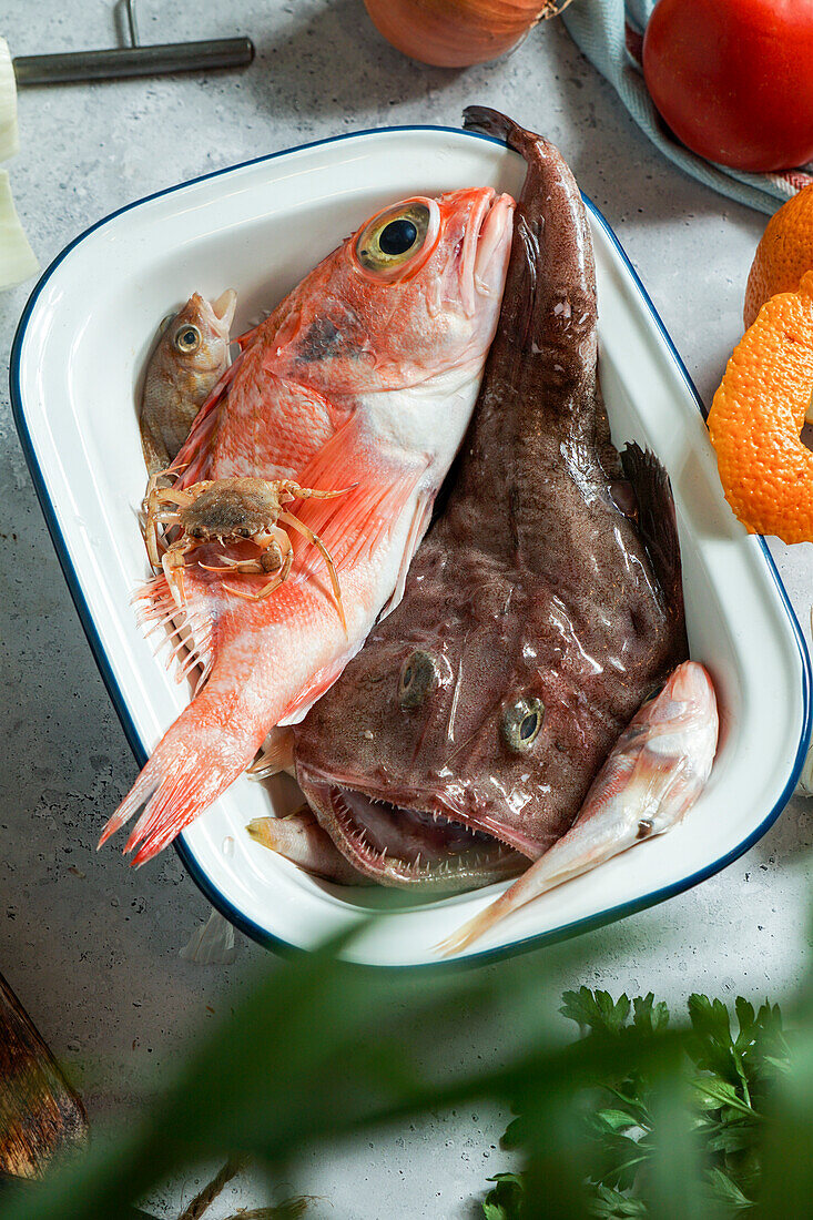 Ingredients for French soup Bouillabaisse with devilfish, Sebastes, with tomatoes and white wine, top view