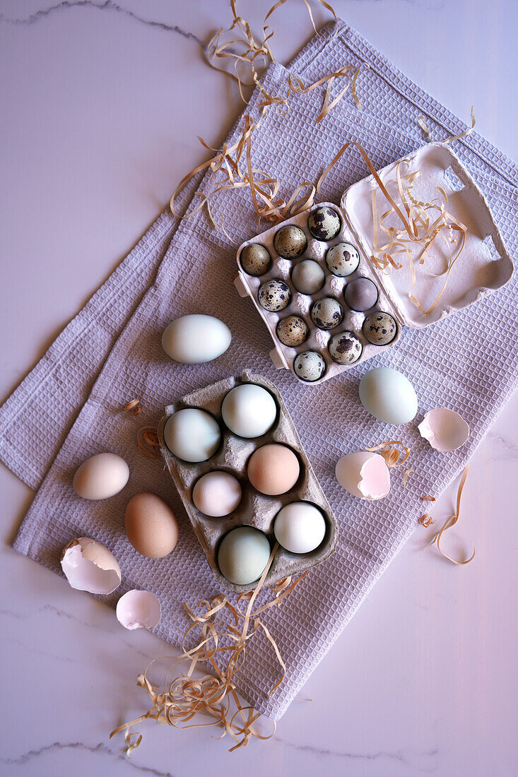 Araucana chicken free-range eggs, including blue and green colours, with Japanese jumbo quail eggs flatlay
