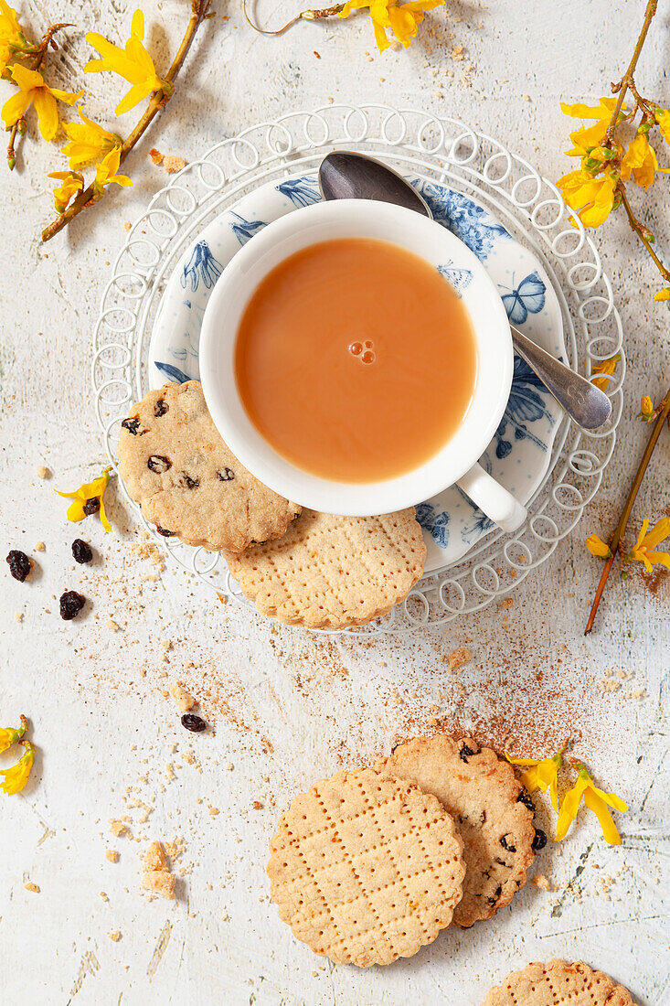 A cup of tea with Shrewsbury biscuits
