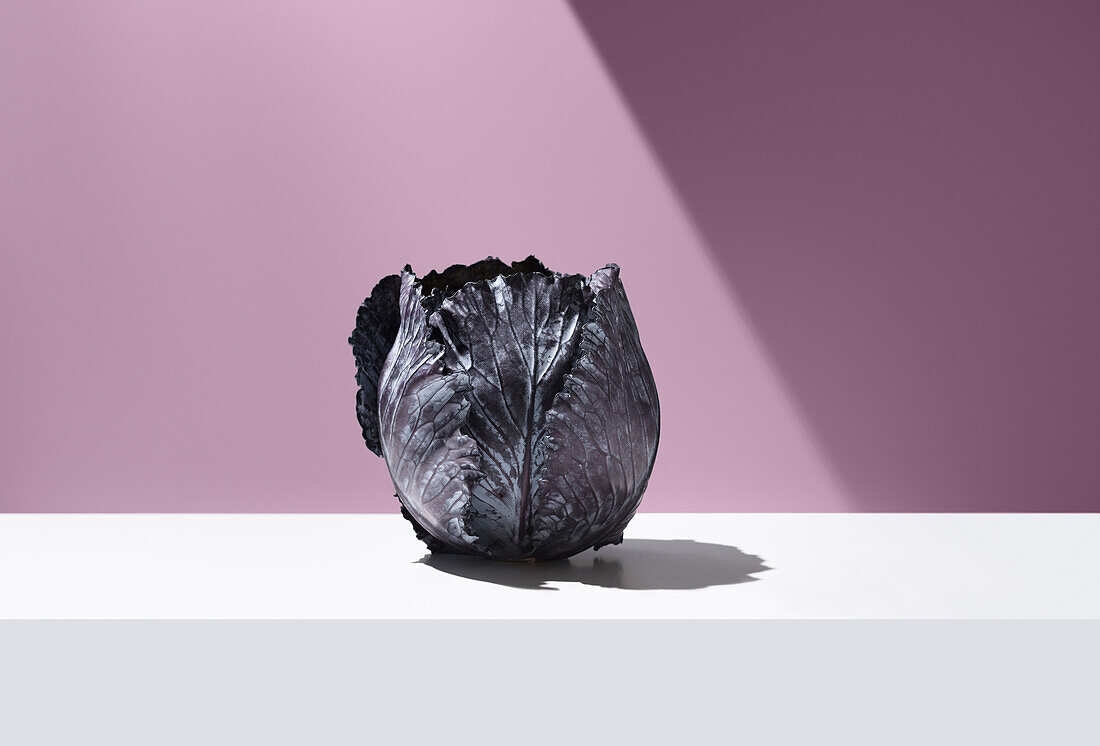 Whole fresh delicious cabbage on white surface against purple background in studio with bright light beam
