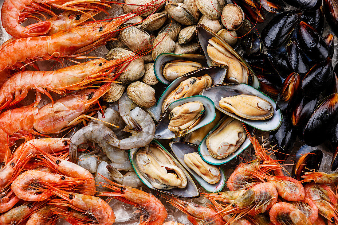 Roher frischer Meeresfrüchte-Cocktail mit Miesmuscheln, Venusmuscheln, Vongole, Garnelen und Krabben in Nahaufnahme