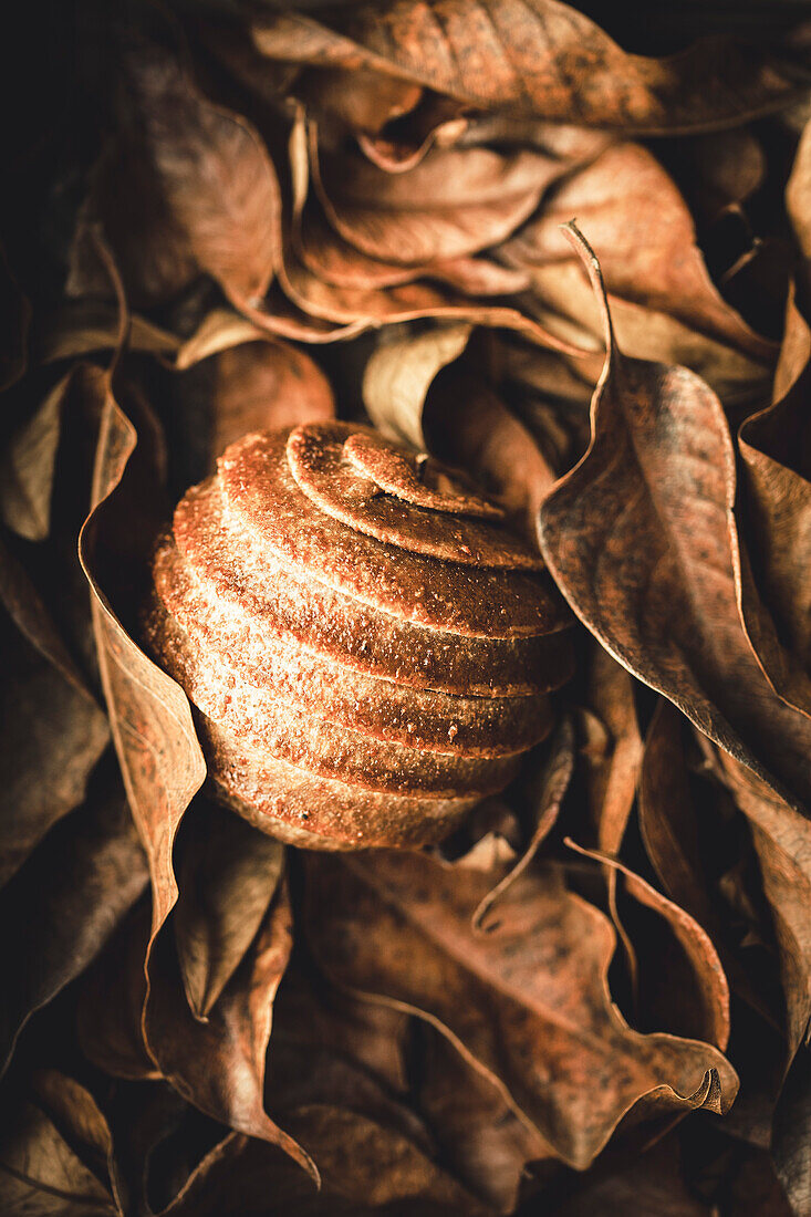 Apple wrapped in leaves in pie crust