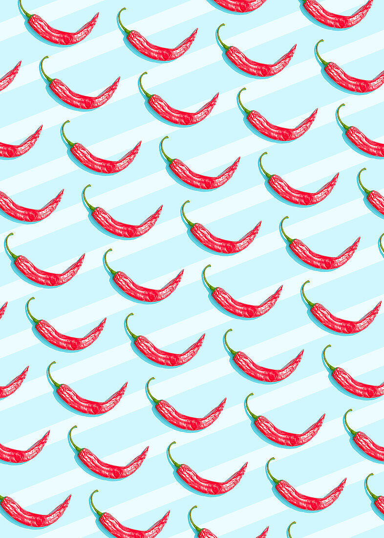 Chilli peppers pattern on blue background