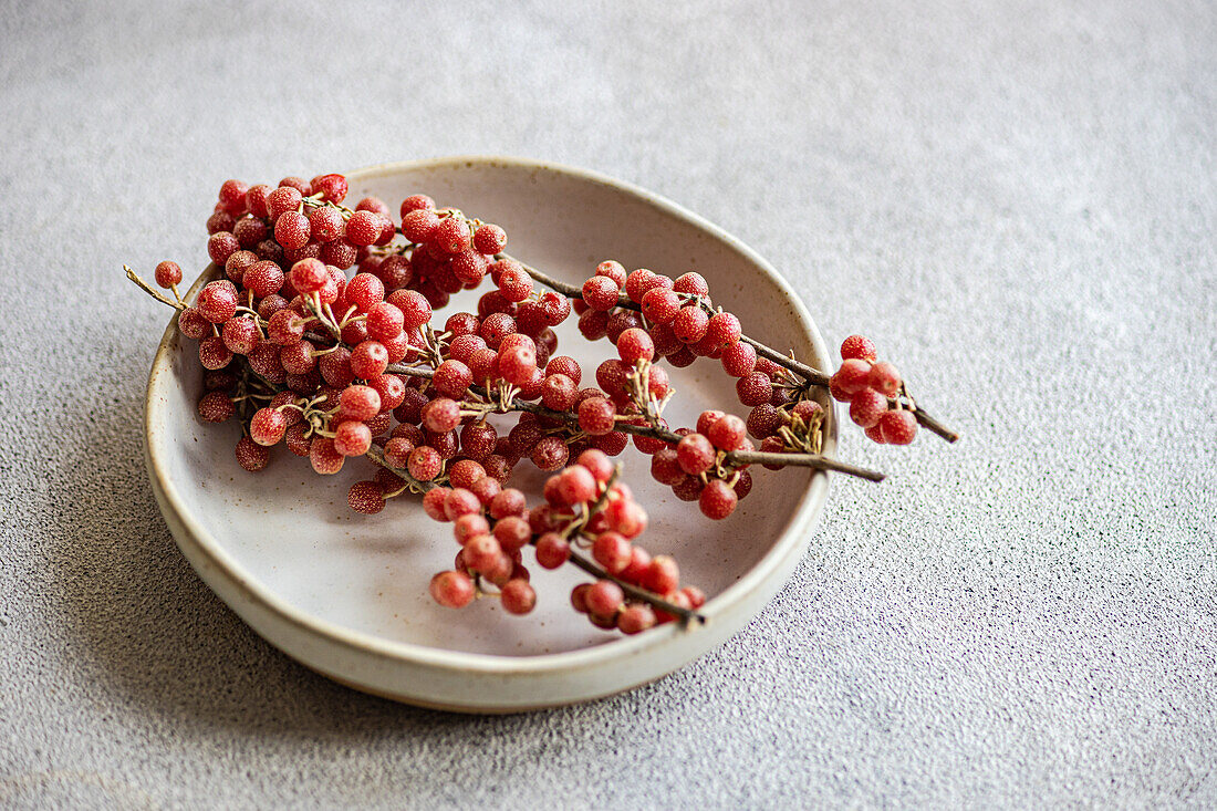 A cluster of ripe buffaloberries is artfully arranged on a ceramic plate, bathed in the soft glow of sunlight in concrete background