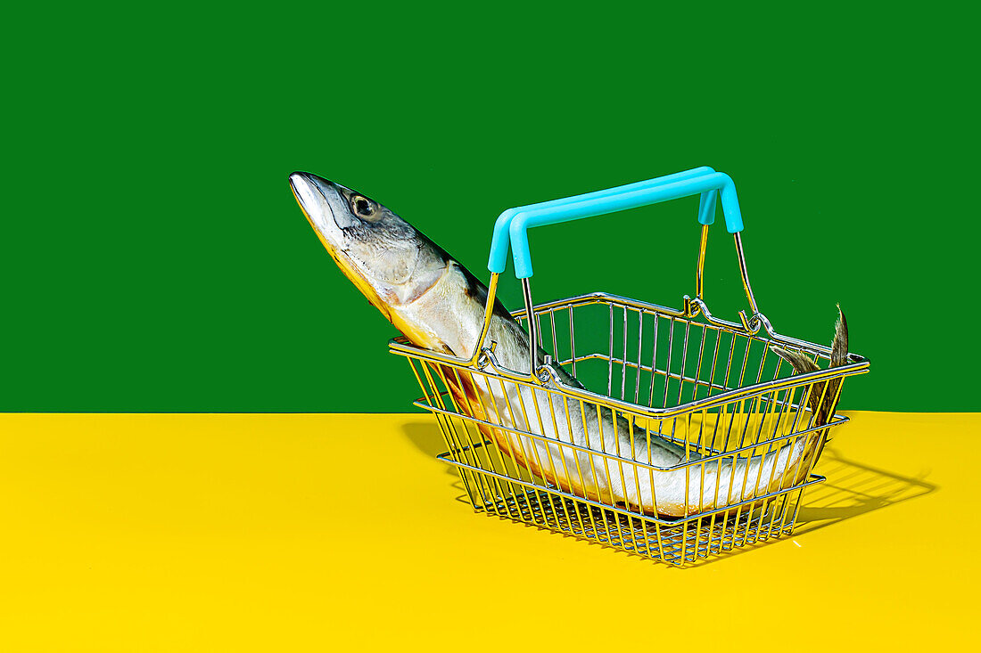 Side view of fish in metal basket placed on yellow table against green wall