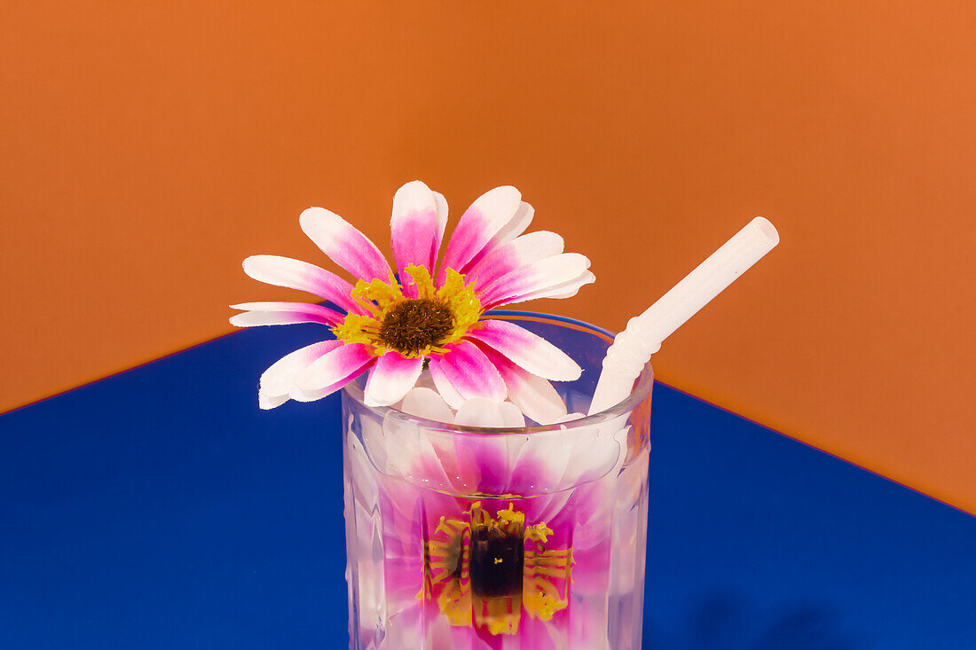 Transparentes Glas mit erfrischendem Kaltgetränk, verziert mit rosa Blumen und Strohhalm auf blauer Fläche vor leuchtend oranger Wand