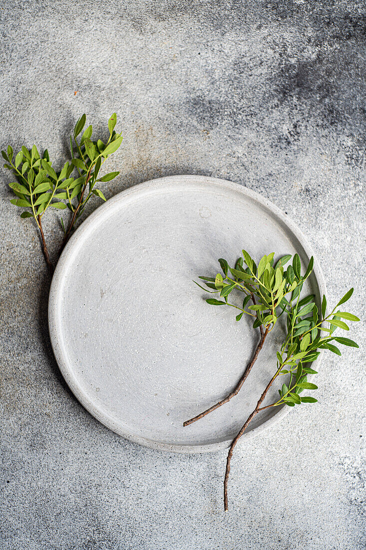 Draufsicht auf eine Tischdekoration mit einer frischen Pistazienpflanze auf einem Keramikteller vor einer grauen Fläche im Tageslicht
