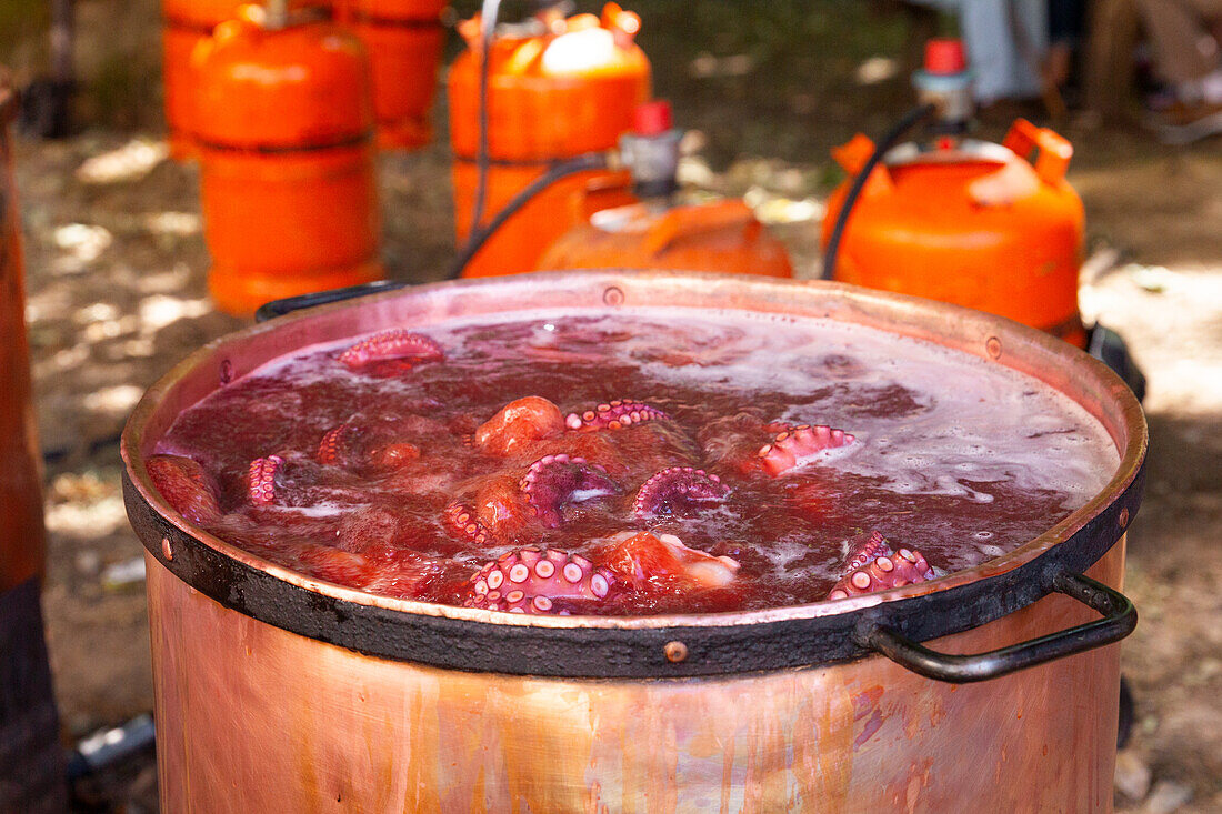 Multiple octopuses simmer in a large, rustic pot with frothy water, with a background of bright orange gas cylinders set up for outdoor cooking