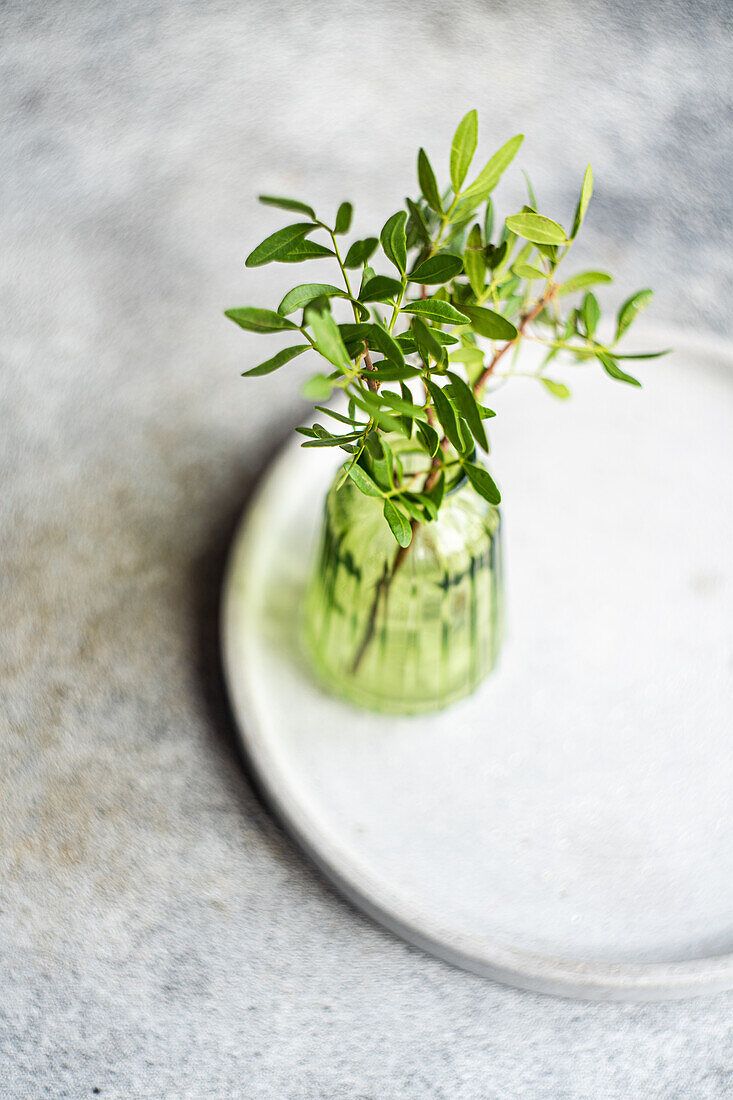 Hoher Winkel der Tischdekoration mit einer frischen Pistazienpflanze in einer transparenten Vase auf einem Teller vor einer grauen Fläche im Tageslicht