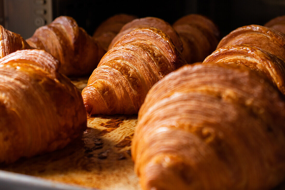 Closeup of freshly baked delicious crunchy croissants placed on metallic tray by oven in kitchen bakery