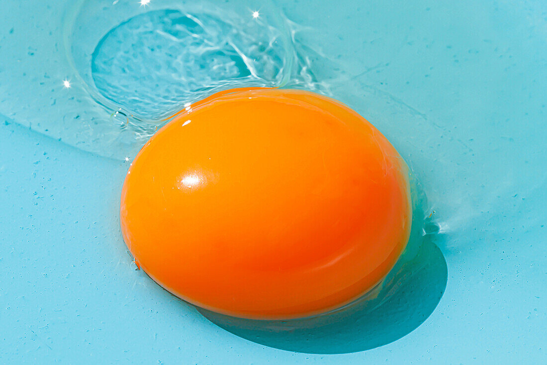 Rundes, orangefarbenes Eigelb und klare Eiweißflüssigkeit mit Schatten auf blauem Hintergrund