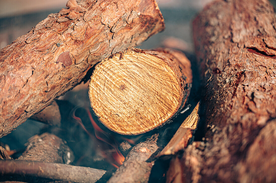 A macro photograph captures the texture and warm tones of logs with embers glowing as they burn in a cozy fireplace setting