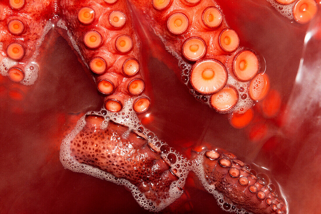 Macro shot showcasing the vibrant details of octopus tentacles with suckers submerged in a vivid red liquid, capturing the intricate textures and patterns