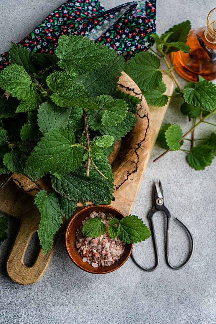 Top view of inviting vegan cooking setup showcasing fresh nettle leaves on a wooden board a bowl of Himalayan pink salt black scissors and a glass bottle of oil all arranged on a gray textured backdrop