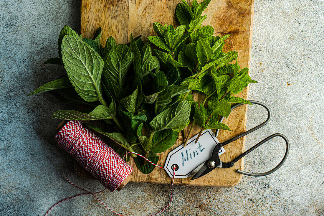 Fresh organic mint leaves ready for cooking on the kitchen table