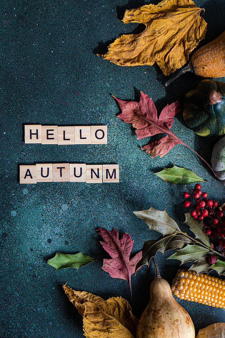 Top view composition of ripe collected pumpkin and corn cobs arranged with game word wood tiles saying Hello Autumn on green background